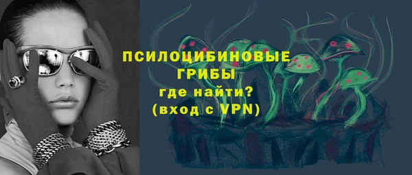 PSILOCYBIN Балабаново