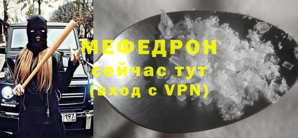 мдпв Богданович