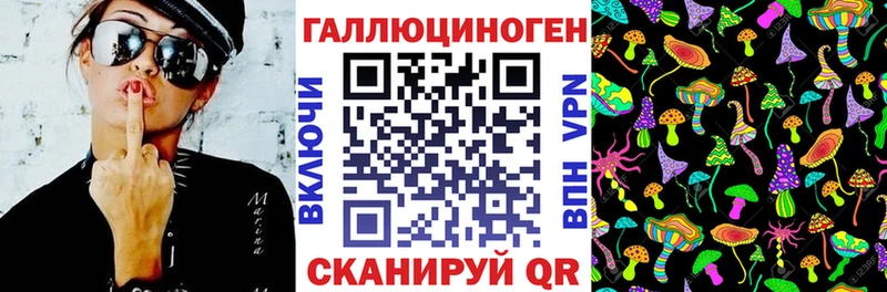 Галлюциногенные грибы Psilocybine cubensis  где купить наркоту  Буйнакск 