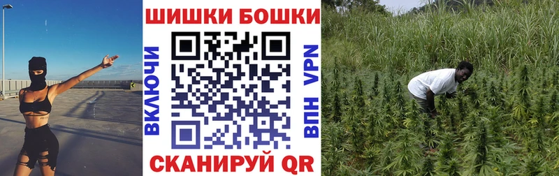 как найти Буйнакск МАРИХУАНА OG Kush